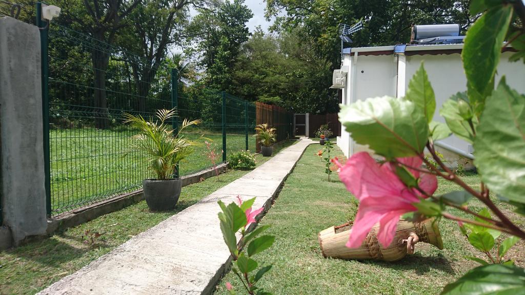 Villa Rêve créole Deshaies Esterno foto