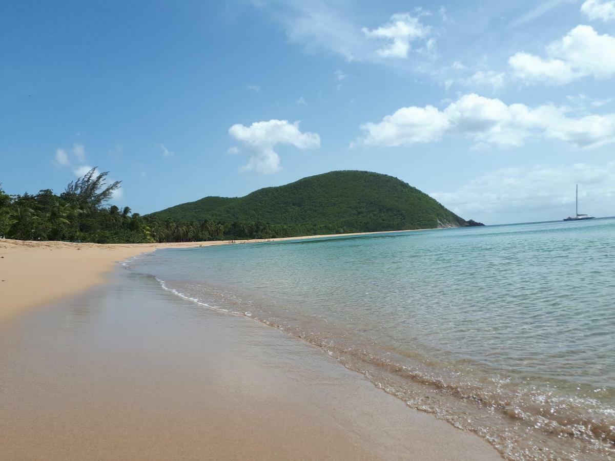 Villa Rêve créole Deshaies Esterno foto