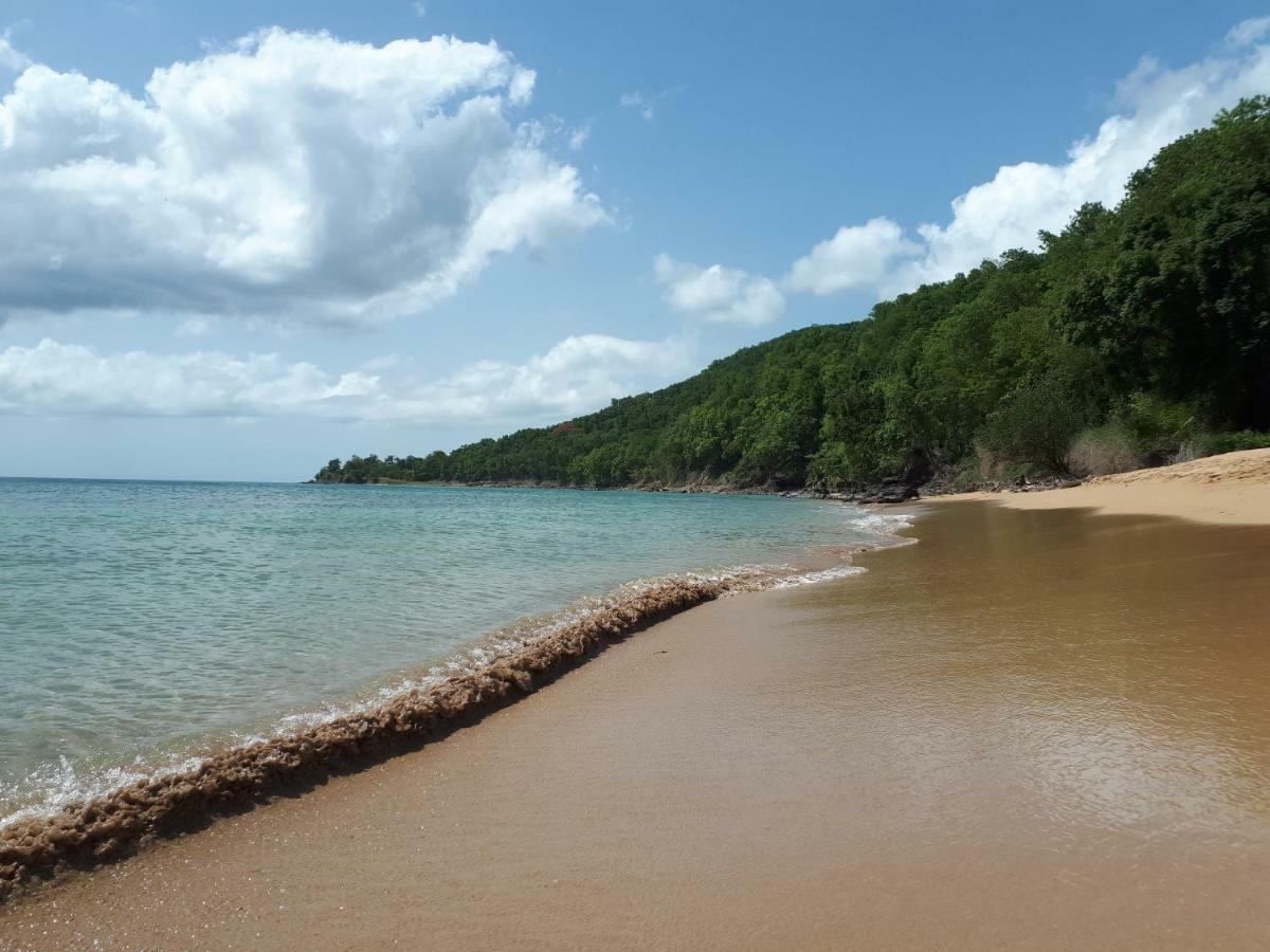 Villa Rêve créole Deshaies Esterno foto