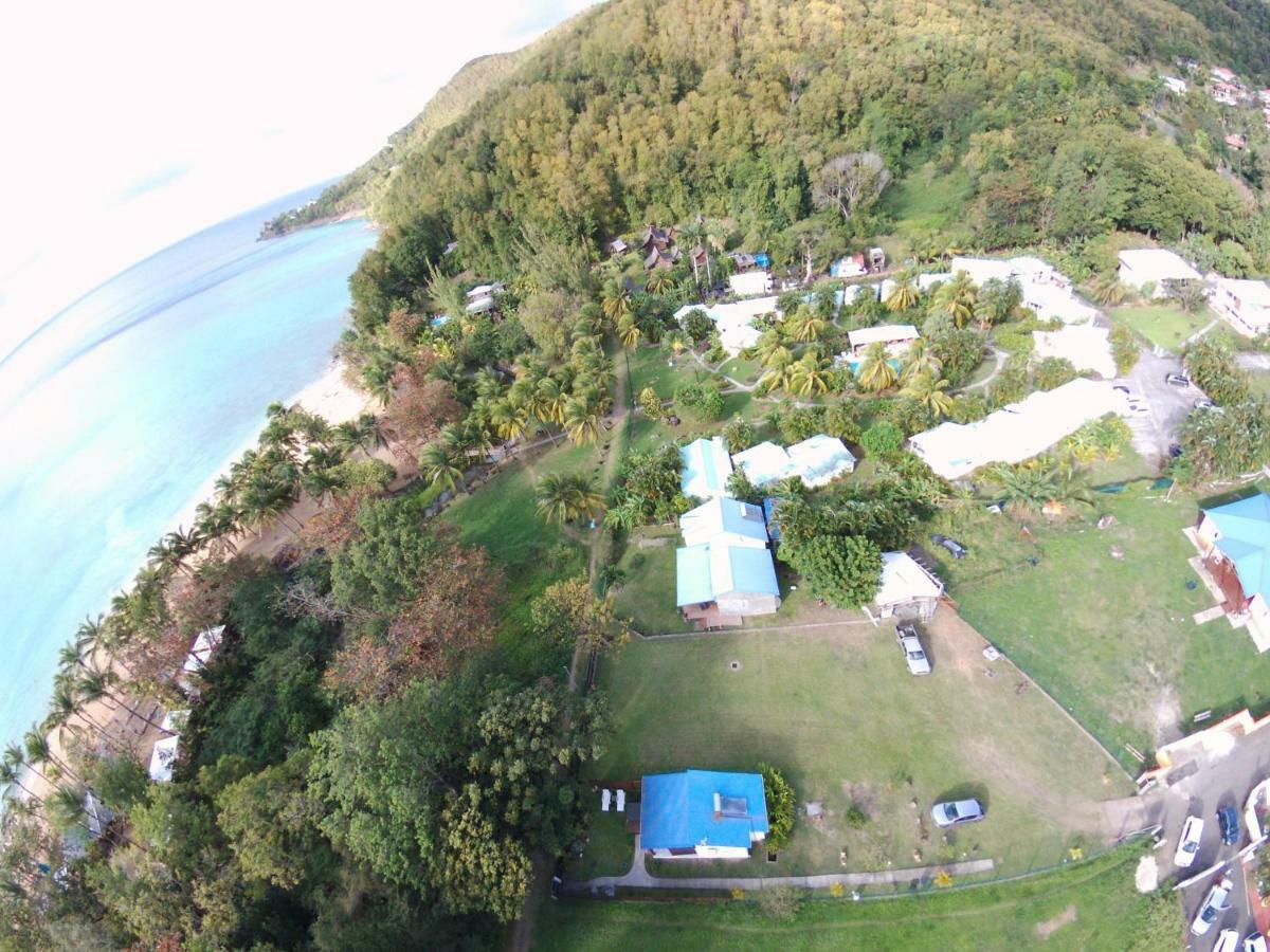 Villa Rêve créole Deshaies Esterno foto