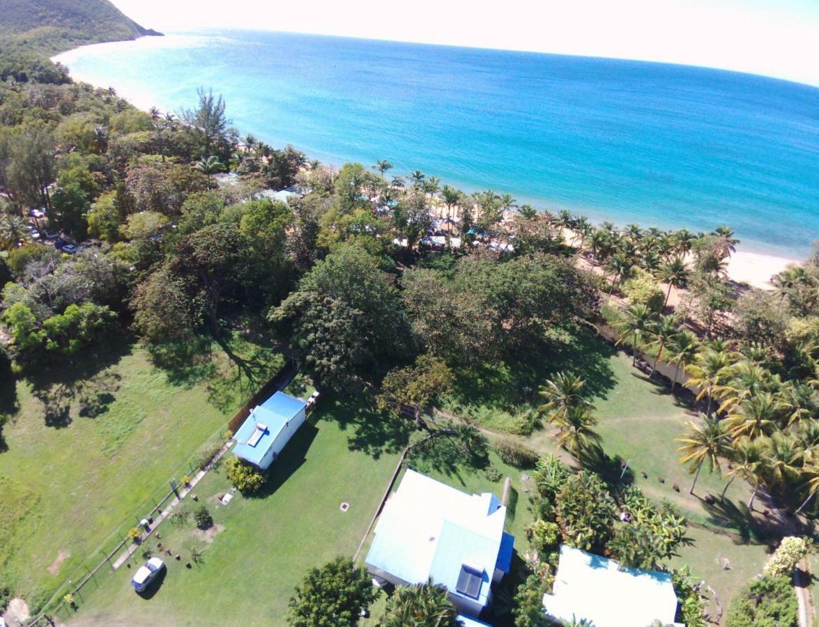 Villa Rêve créole Deshaies Esterno foto